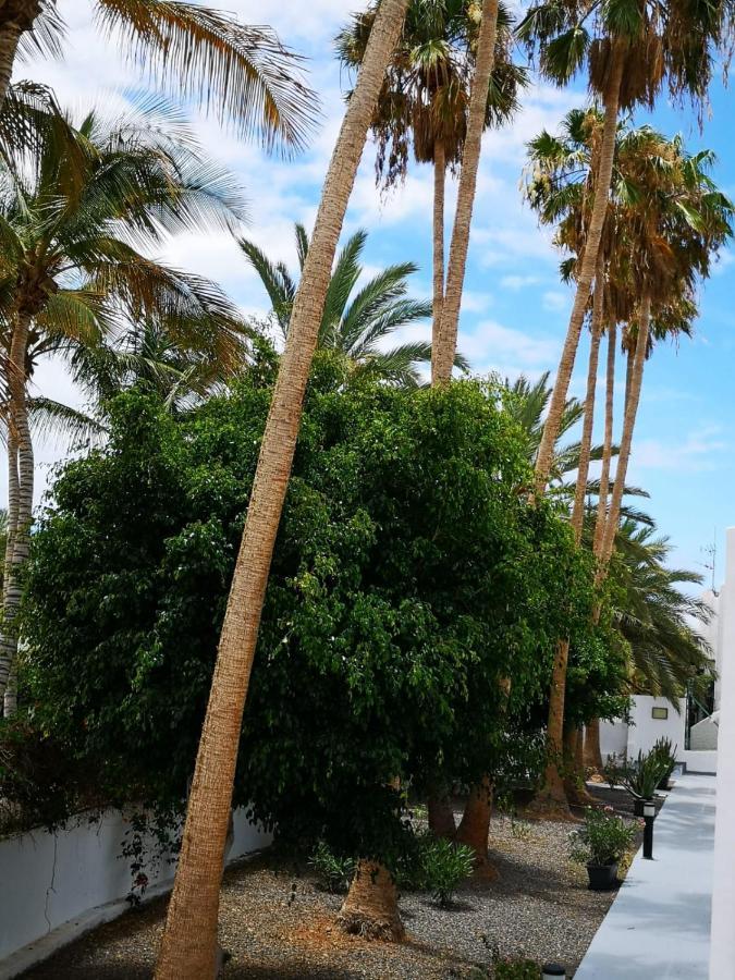 شقة Estrella De Mar تاراخاليخو المظهر الخارجي الصورة