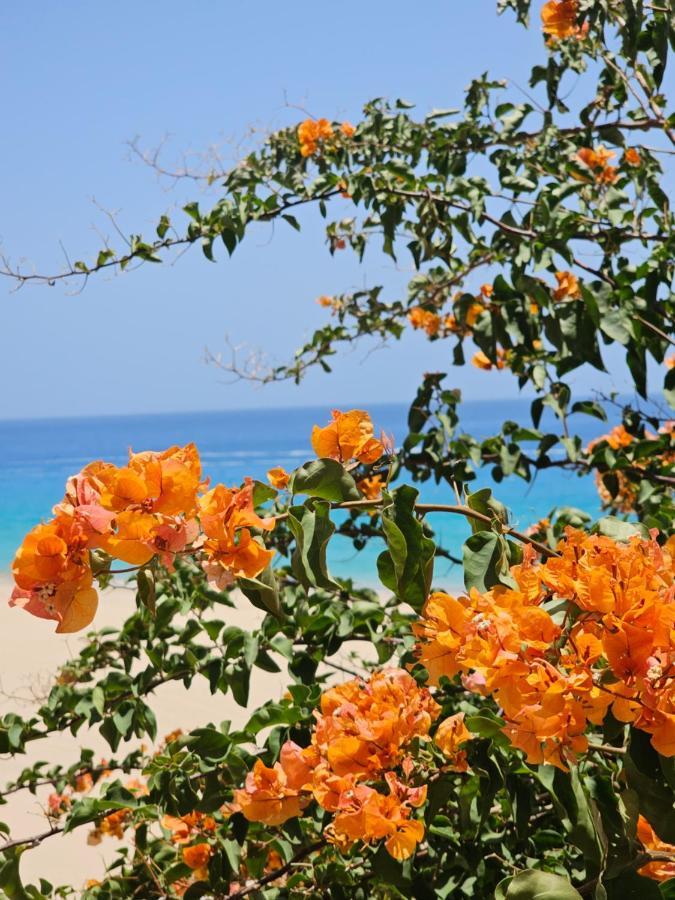 شقة Estrella De Mar تاراخاليخو المظهر الخارجي الصورة
